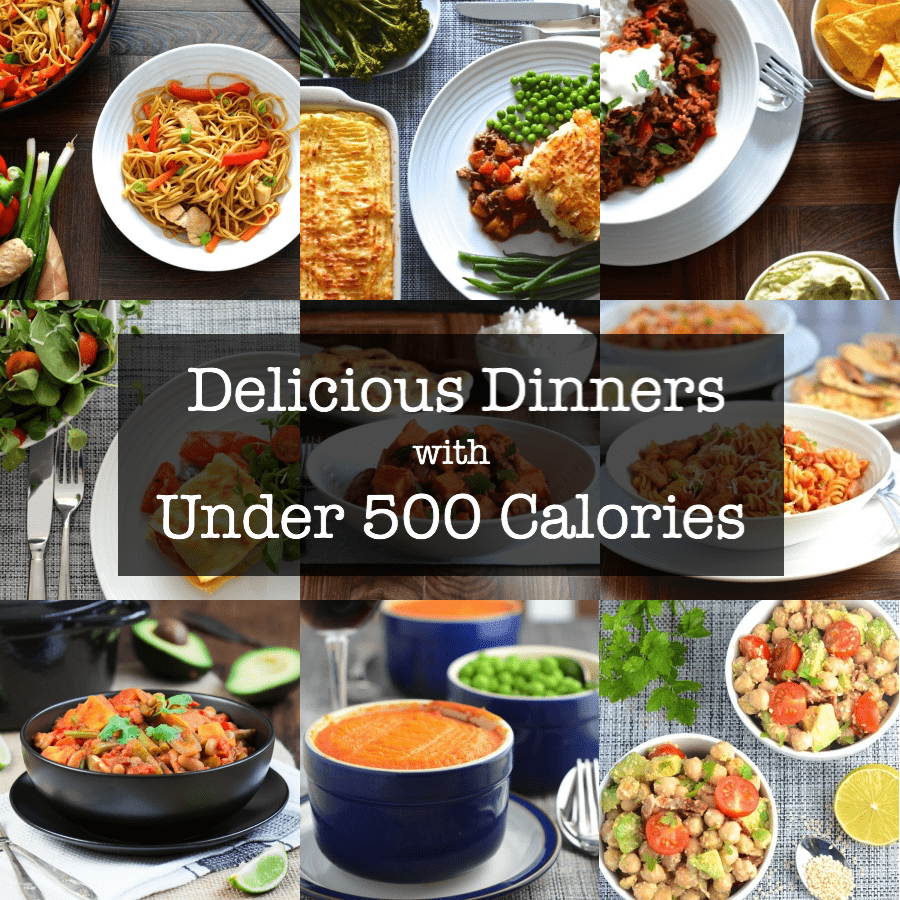 20+ Delicious Dinners with Under 500 Calories