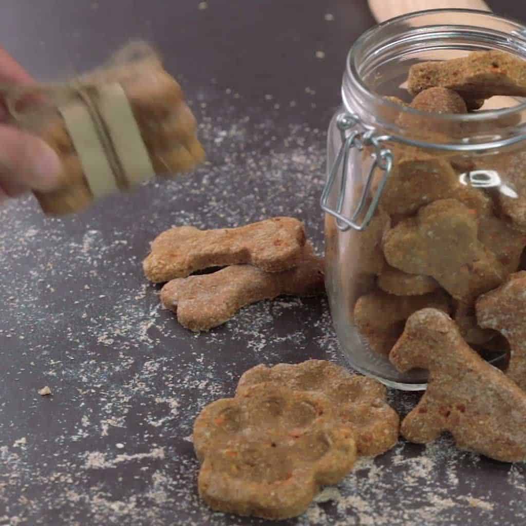 8 Healthy Dog Treats For Your Pups