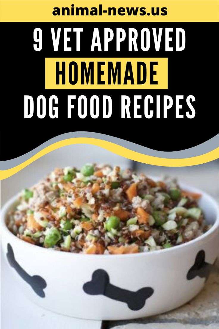 9 Vet Approved Homemade Dog Food Recipes for a Thriving ...