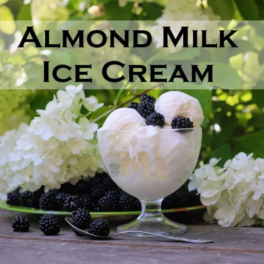 Almond Milk Ice Cream Recipe: Delicious Non Dairy Ice Cream