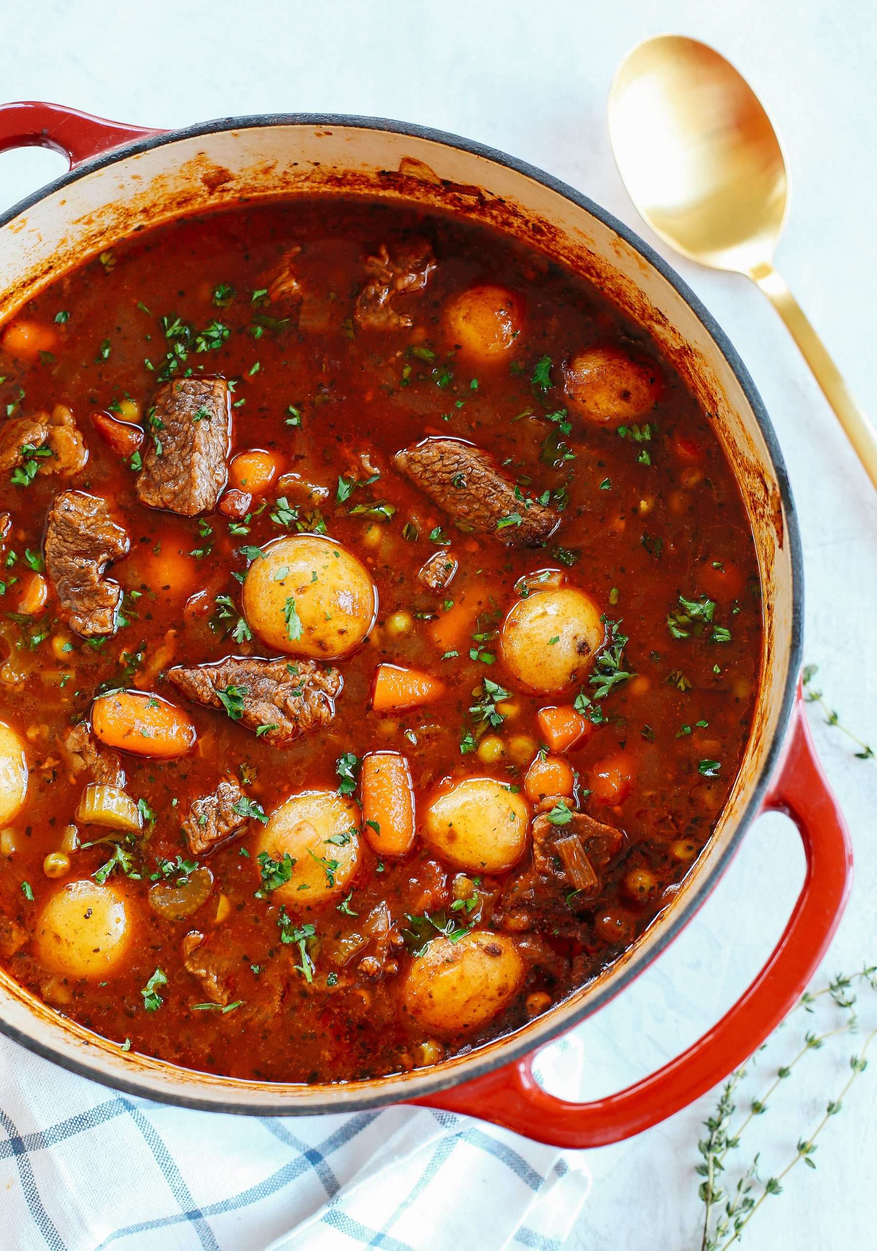 Beef and Tomato Stew (Instant Pot, Slow Cooker and Stove ...