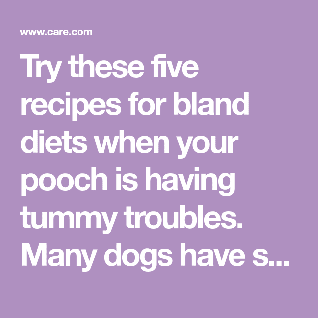 Bland diet for dogs: How and when To use them and recipes to try ...