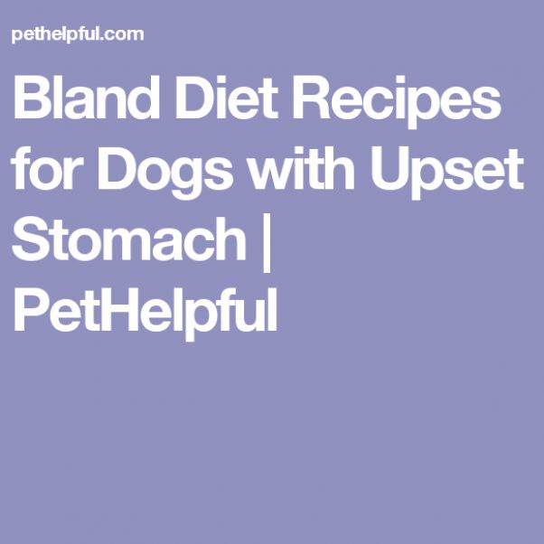 Bland Diet Recipes for Dogs with Upset Stomach PetHelpful #dietrecipes ...