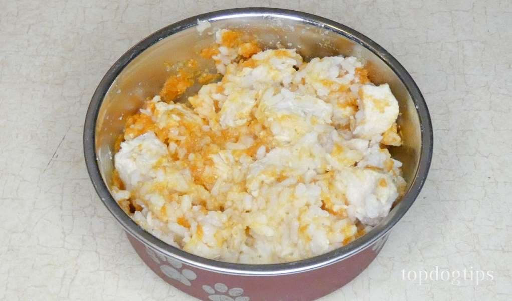 Chicken and Rice Dog Food for Upset Stomach (Easy Homemade Recipe)