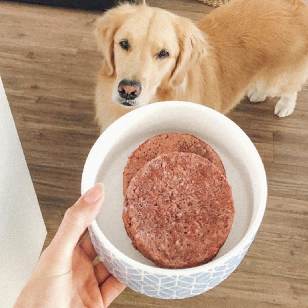 Complete &  Balanced Meals For Dogs