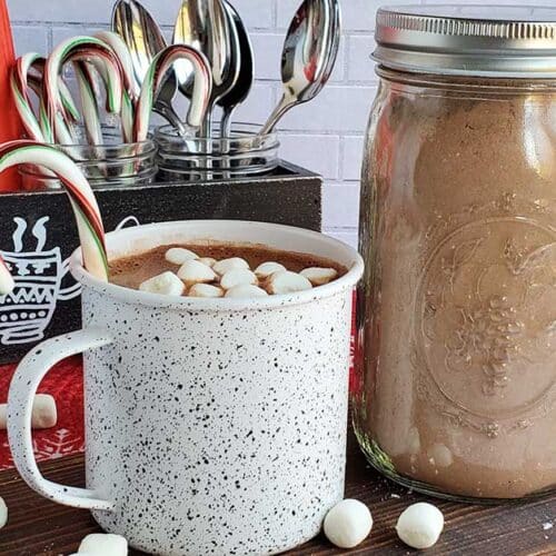 DIY Hot Cocoa Mix (Bulk Recipe)