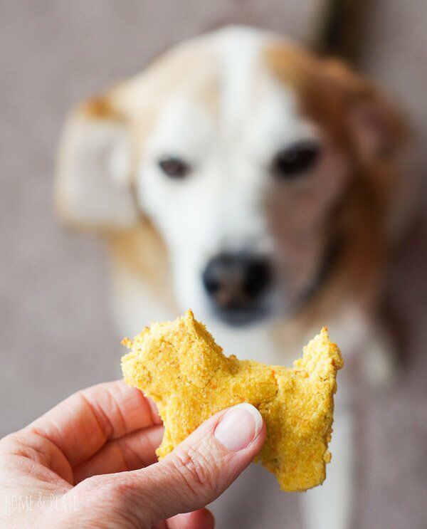 Dog Treat Recipe for Dogs with Allergies (Grain Free)