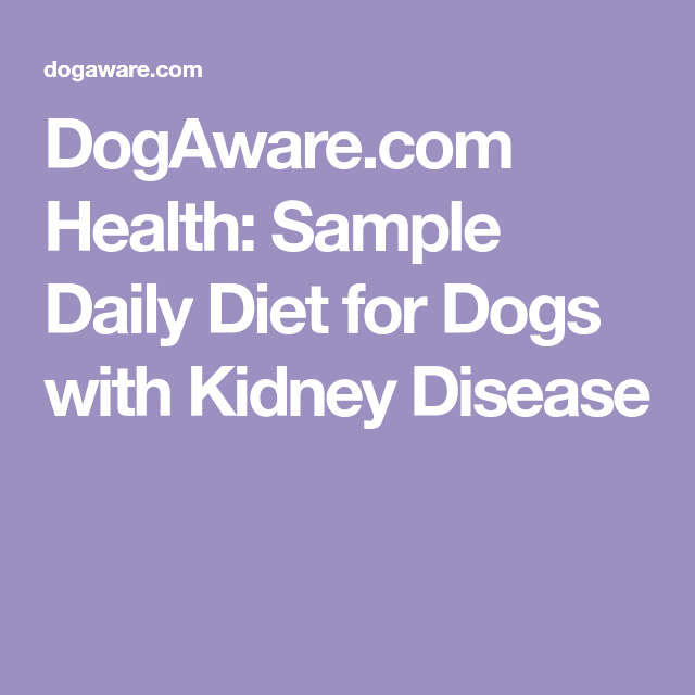 DogAware.com Health: Sample Daily Diet for Dogs with Kidney Disease in ...