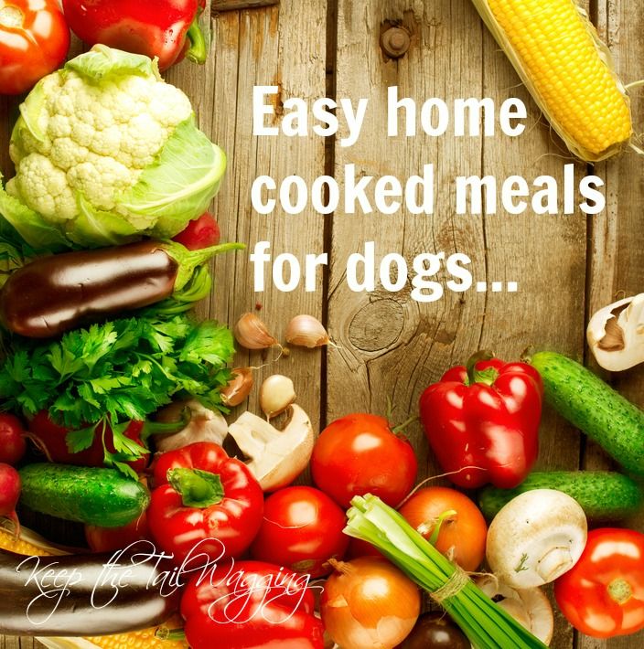 Easy Home Cooked Meals for Dogs