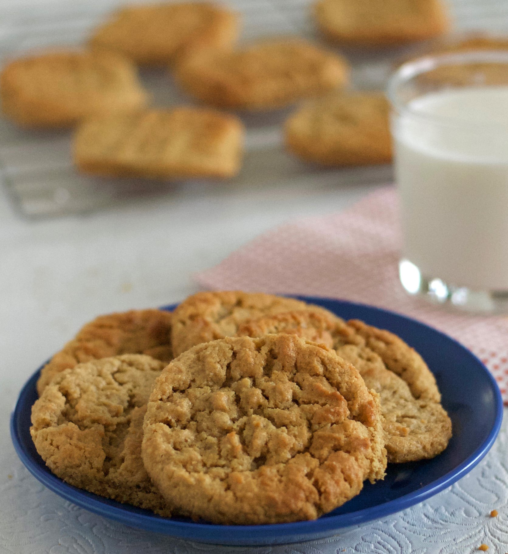 GF Peanut Butter Cookies Recipe