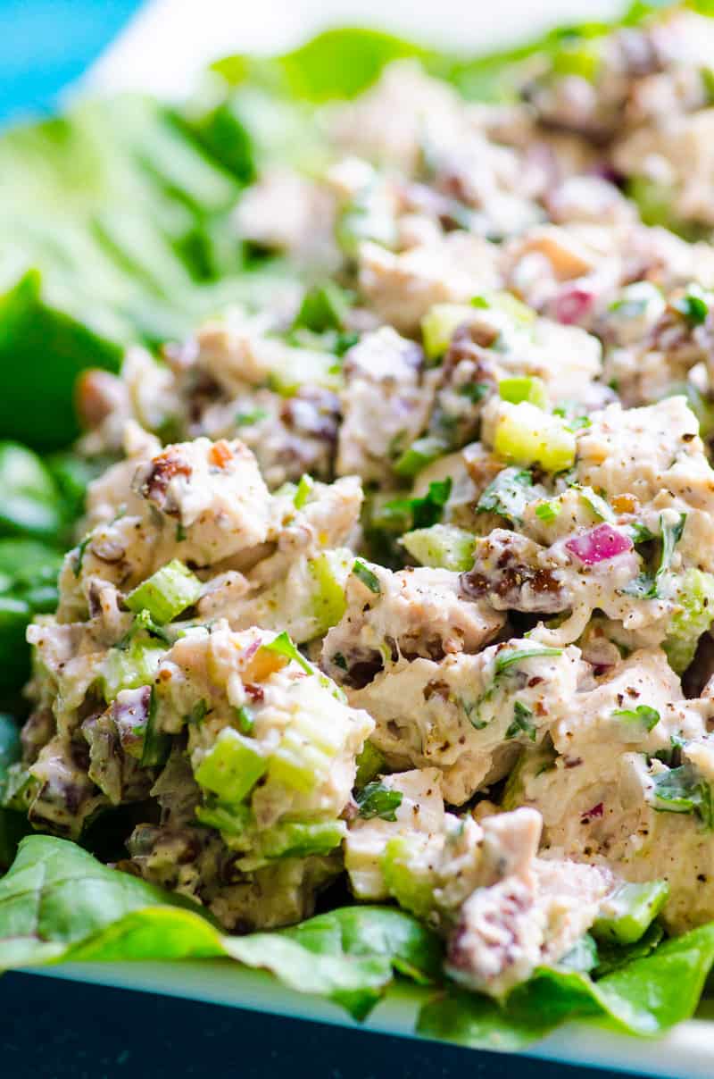 Healthy Chicken Salad {The BEST!}
