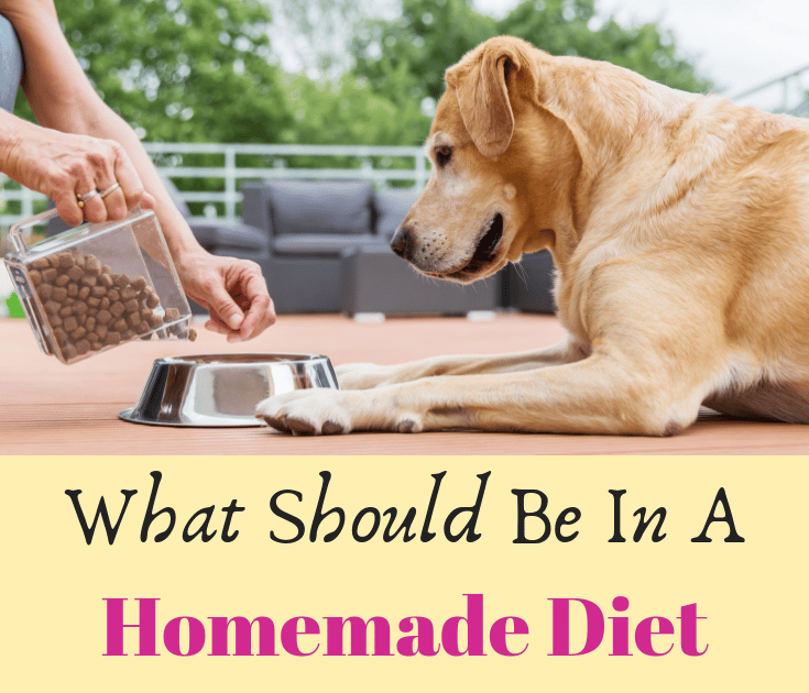 Home Cooked Recipes For Dogs With Diabetes