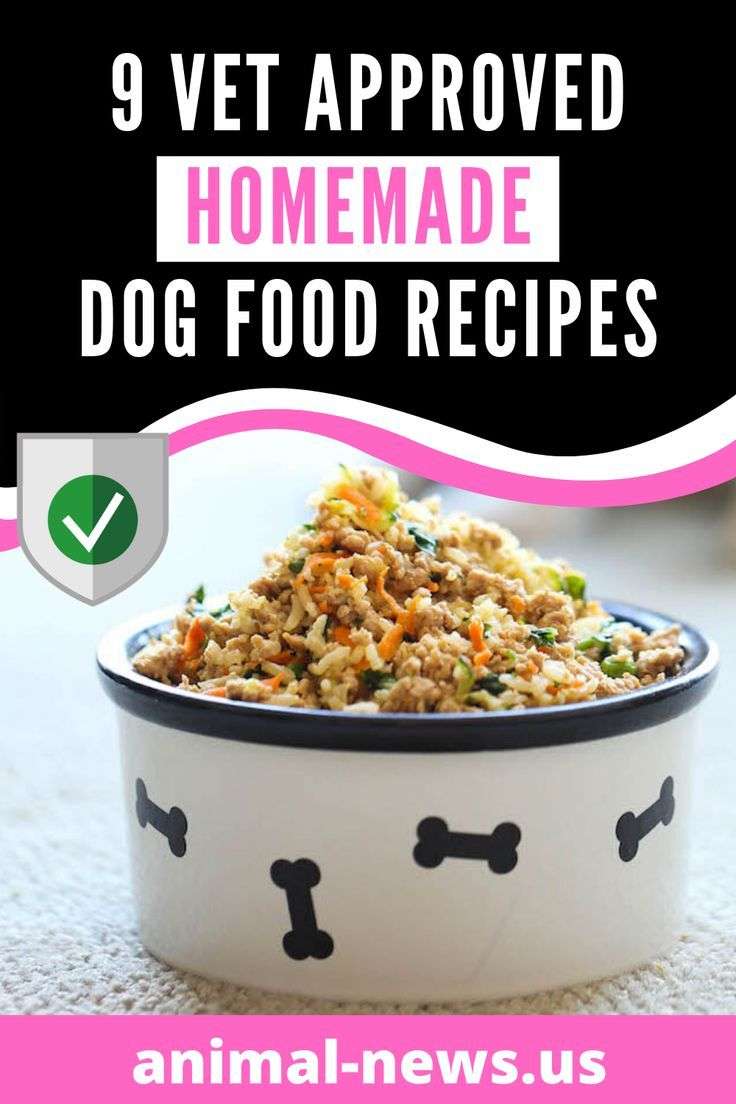 Homemade Cat Food Recipes Vet Approved