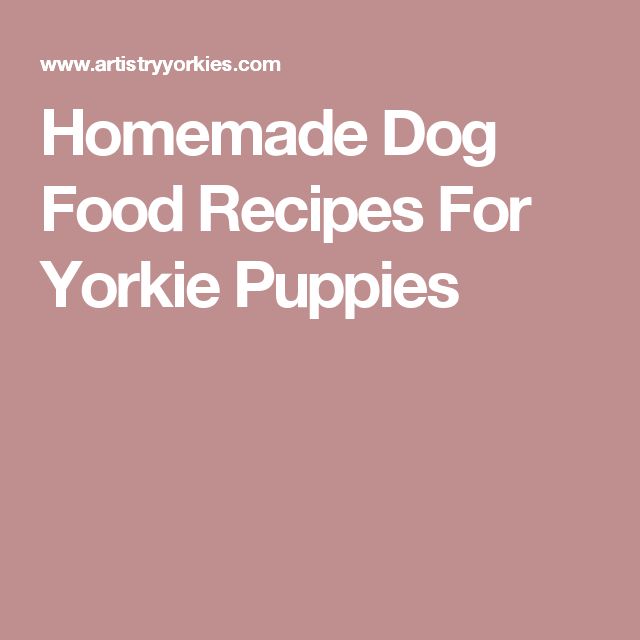 Homemade Dog Food Recipes For Yorkie Puppies (With images)