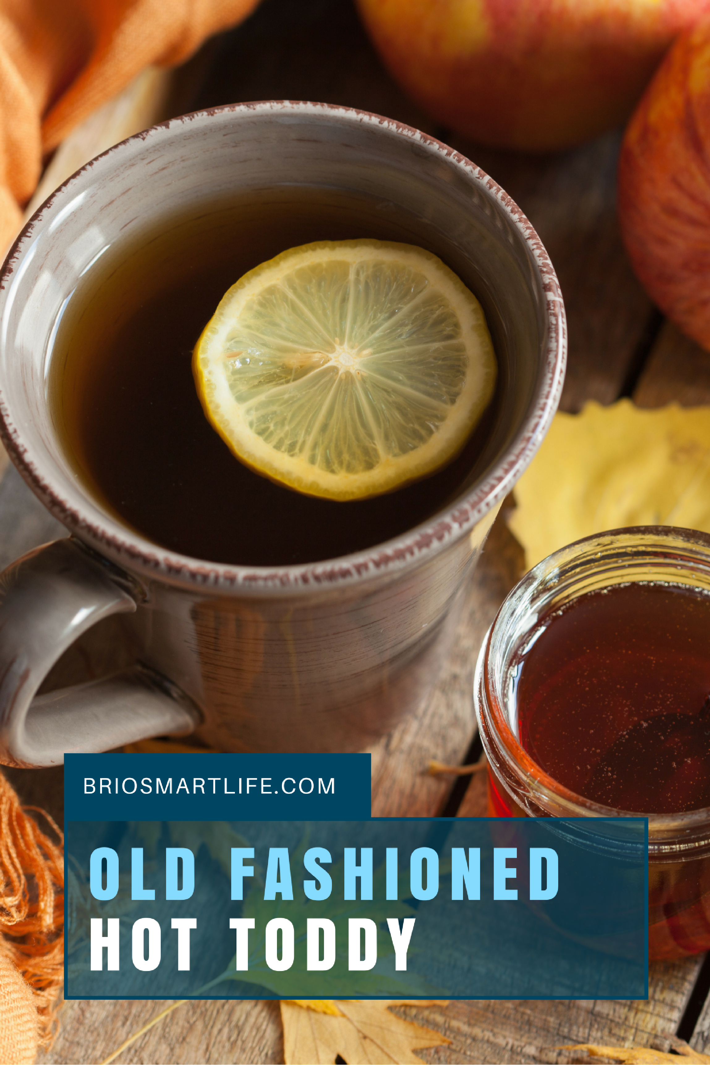 How to make an Old Fashioned Hot Toddy with Lemon and ...