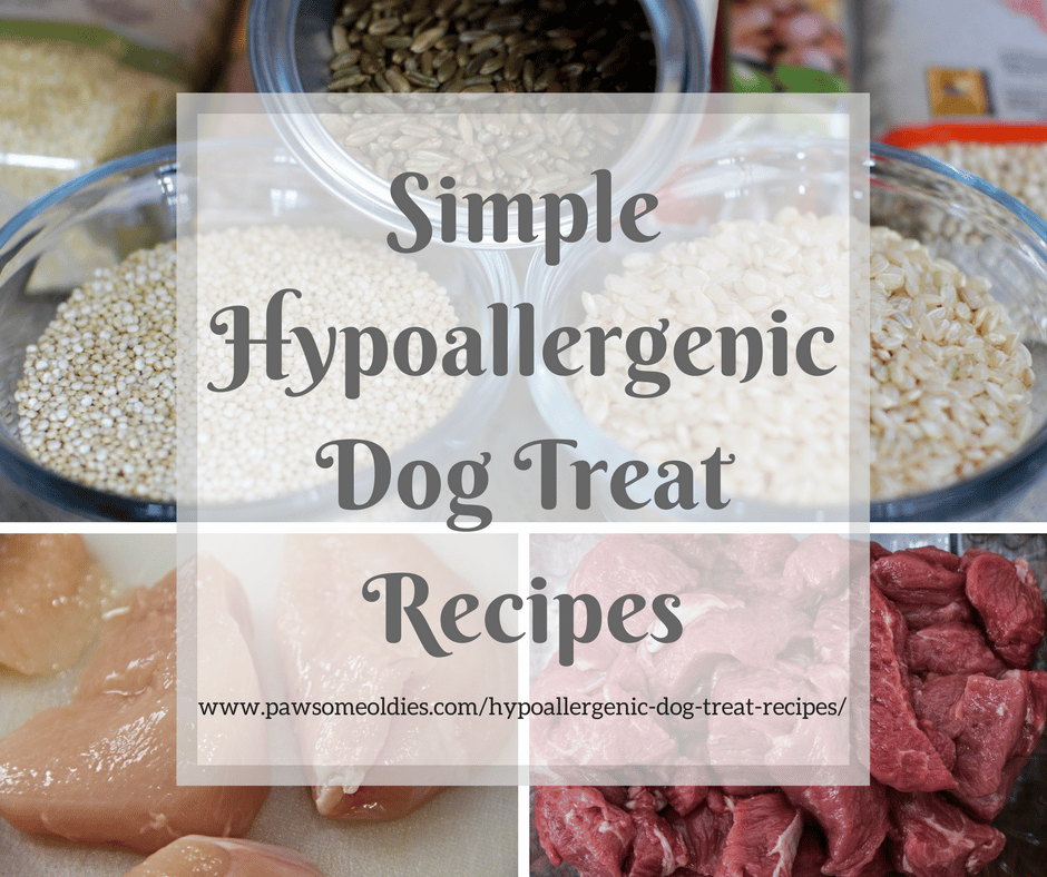 Hypoallergenic Dog Treat Recipes for Dogs with Food Allergies ...
