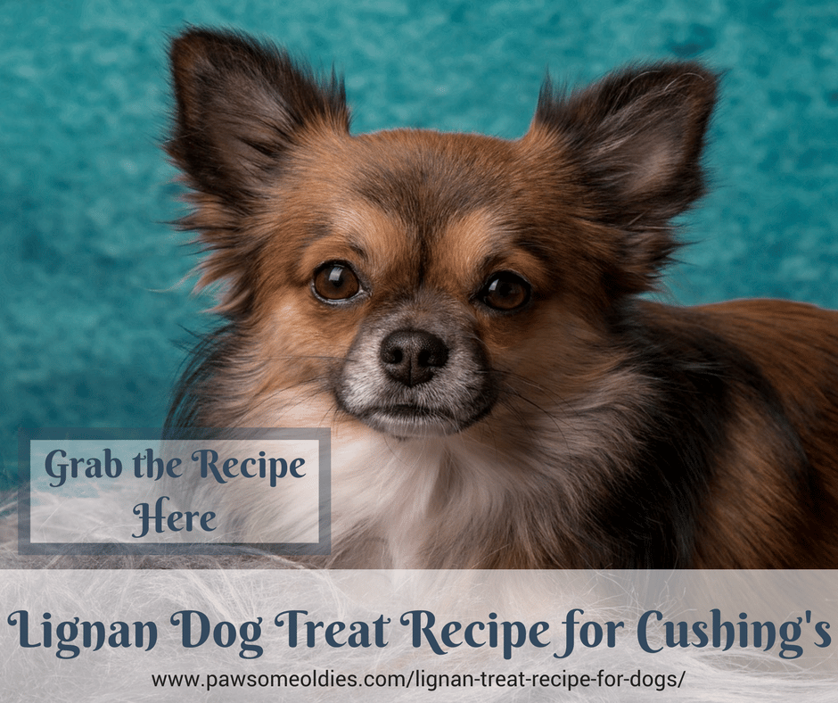 Lignan Treat Recipe for Dogs with Cushing