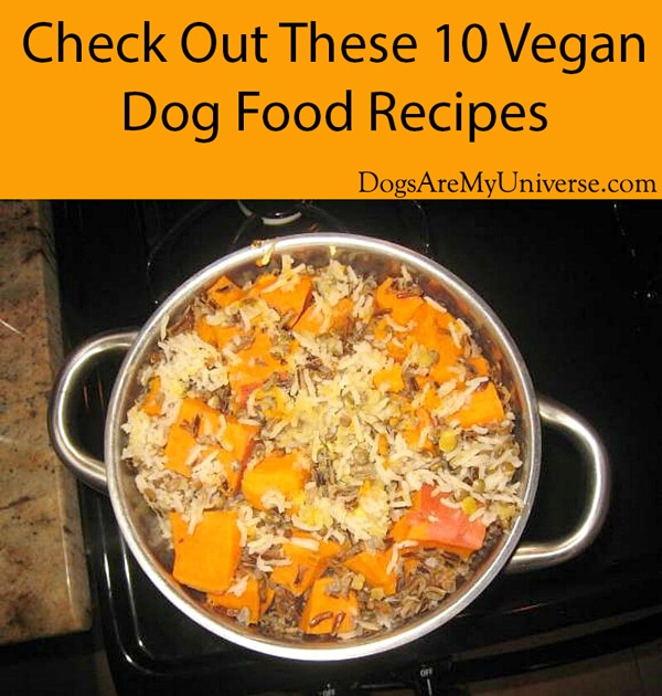Make Your Own Vegan Dog Food