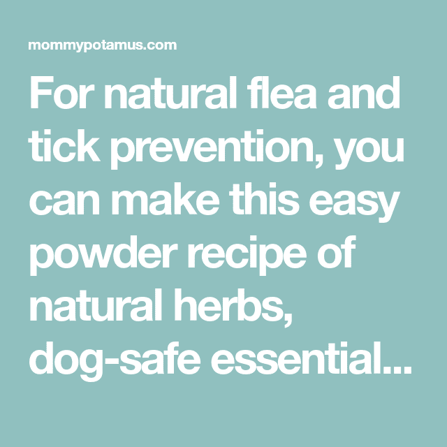 Natural Flea And Tick Powder Recipe For Dogs