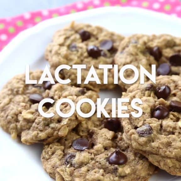 No Bake Lactation Cookies Recipe Without Brewers Yeast