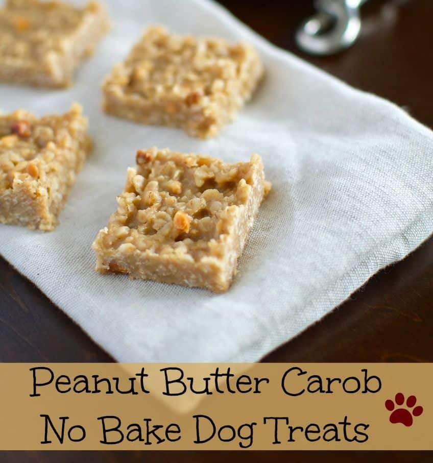 No Bake Peanut Butter Carob Dog Treats #Recipe