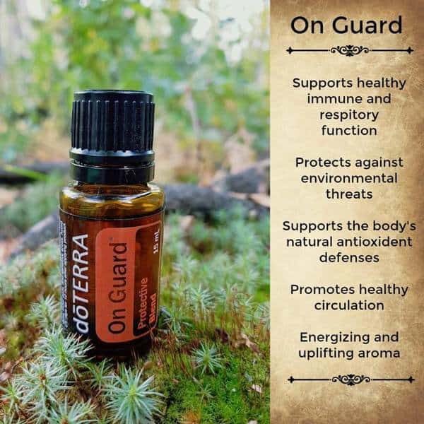 On Guard Essential Oil Cleaner Recipe