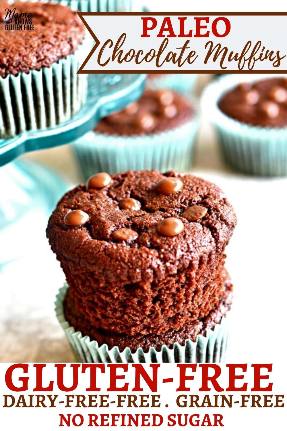 Paleo Chocolate Muffins {Gluten