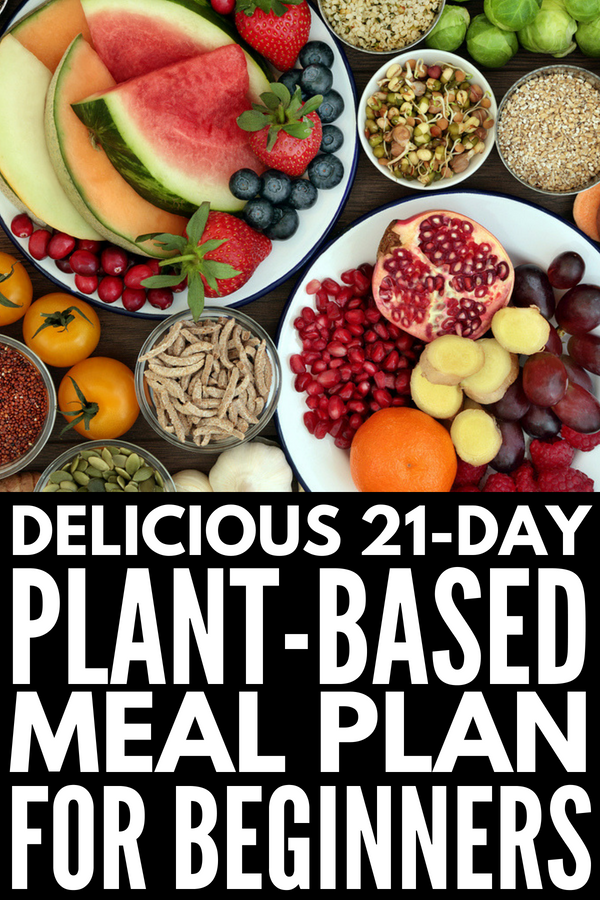 Plant Based Diet Meal Plan for Beginners: 21