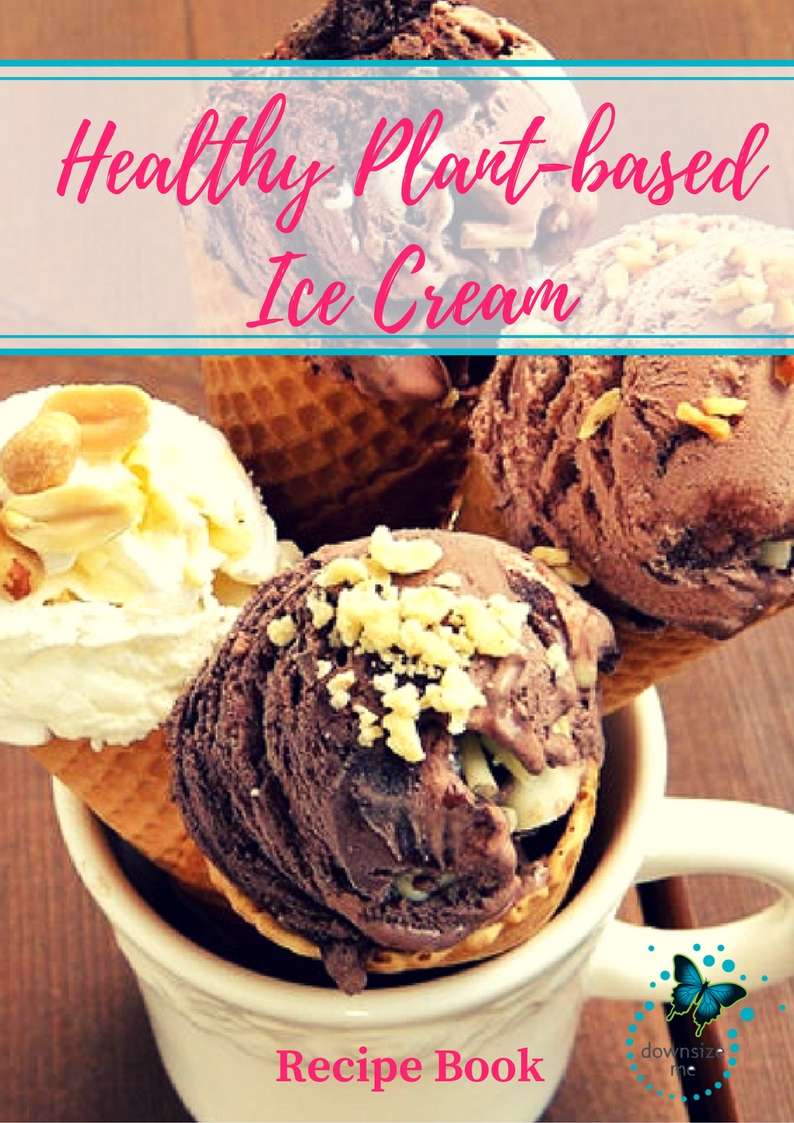 plant based ice cream recipe cover
