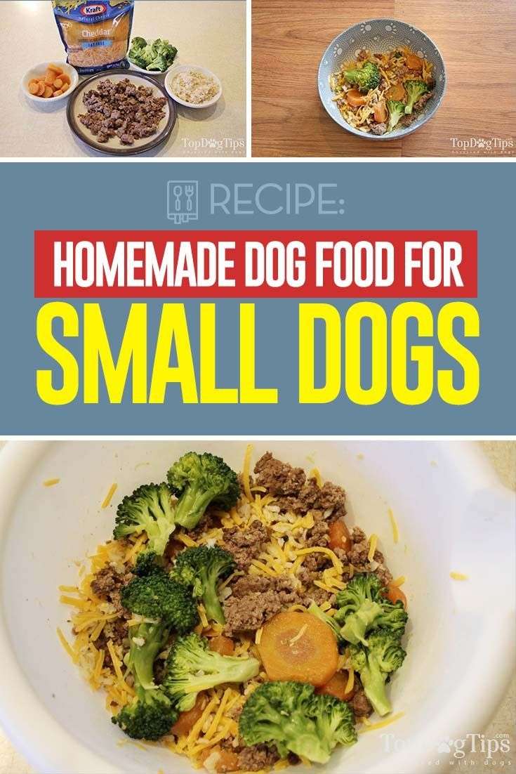 Recipe: Homemade Dog Food for Small Dogs