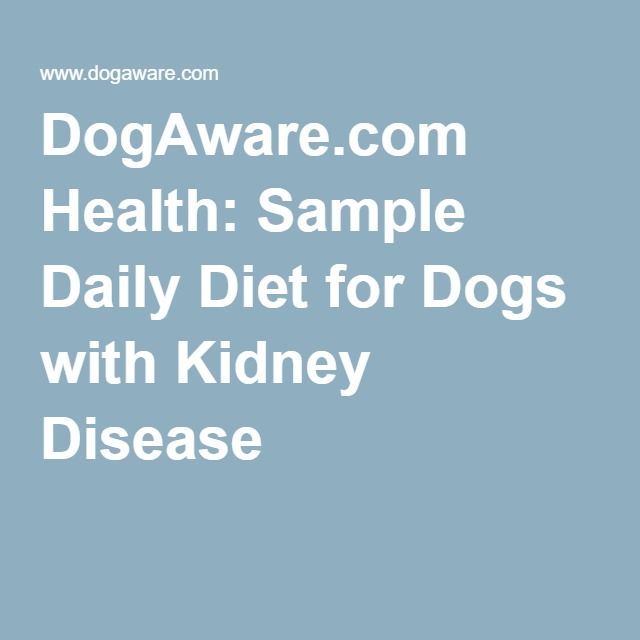 Sample Daily Diet for Dogs with Kidney Disease