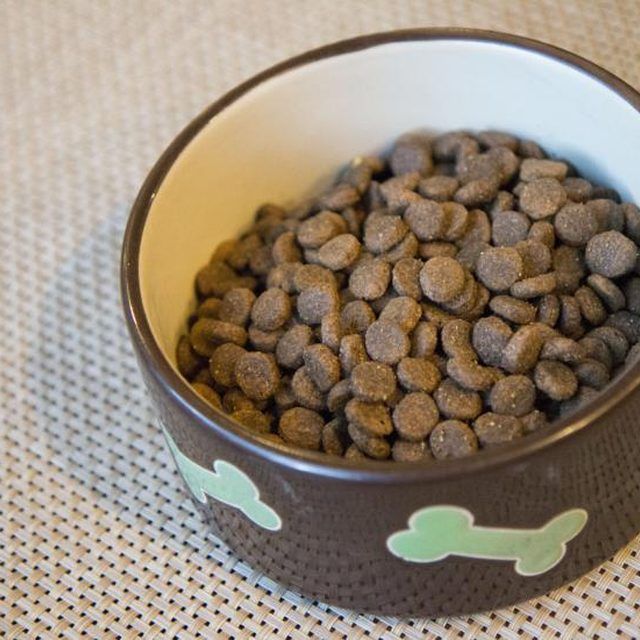 Small bowl of dog food.
