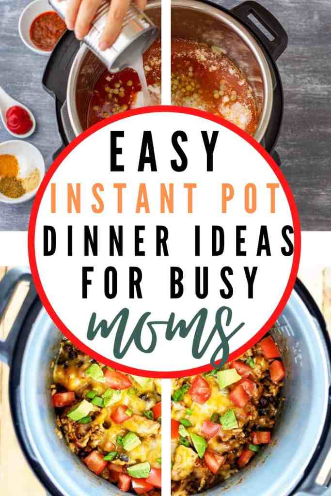 The Best Budget Friendly Instant Pot Recipes In 20 Minutes Or Less ...