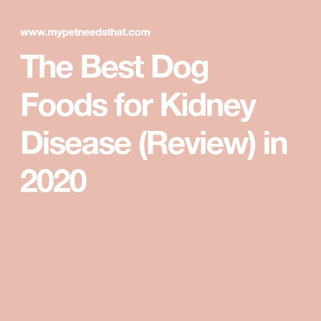 The Best Dog Foods for Kidney Disease (Review) in 2020