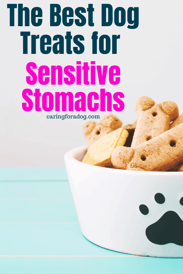 The Best Dog Treats For Sensitive Stomachs