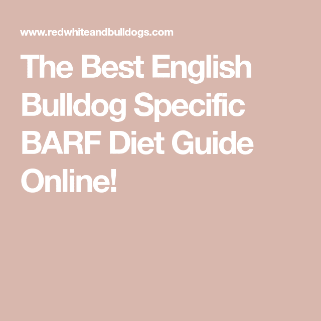 The Best English Bulldog Specific BARF Diet Guide Online!