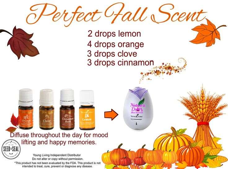 The perfect fall scent!