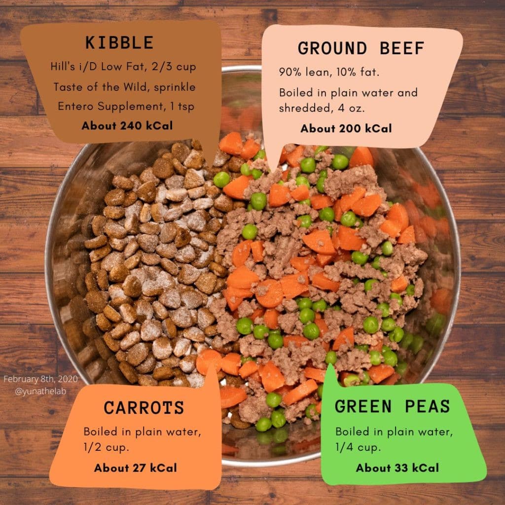 The top 21 Ideas About is Ground Beef Good for Dogs
