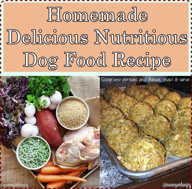 This homemade delicious nutritious dog food recipe is part of a ...