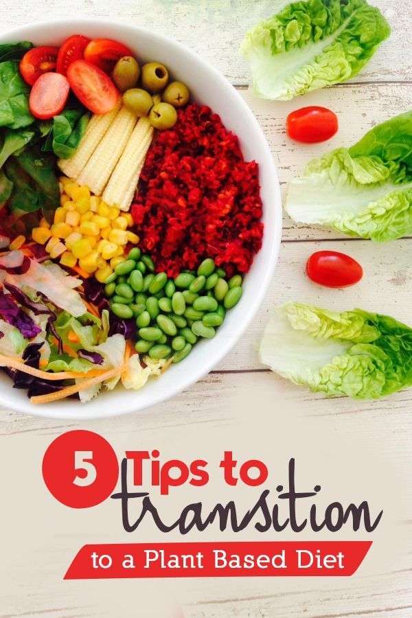 Tips for Shifting to a Plant Based Diet for Meat Lovers ...