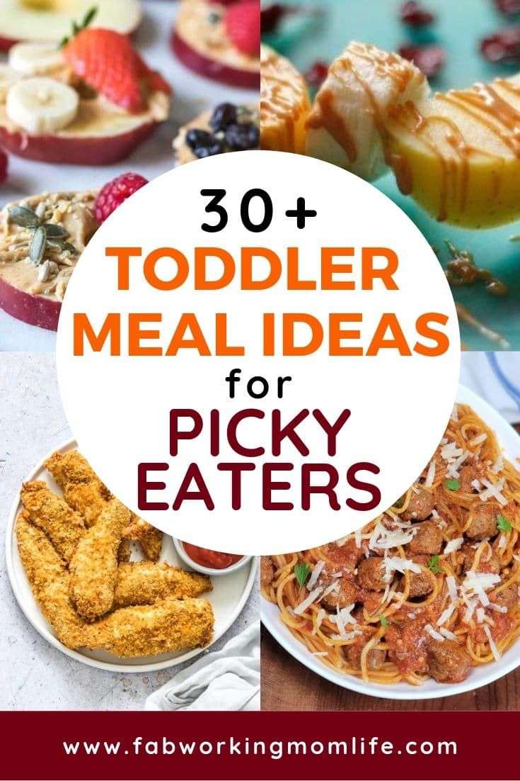 Toddler meals for Picky Eaters