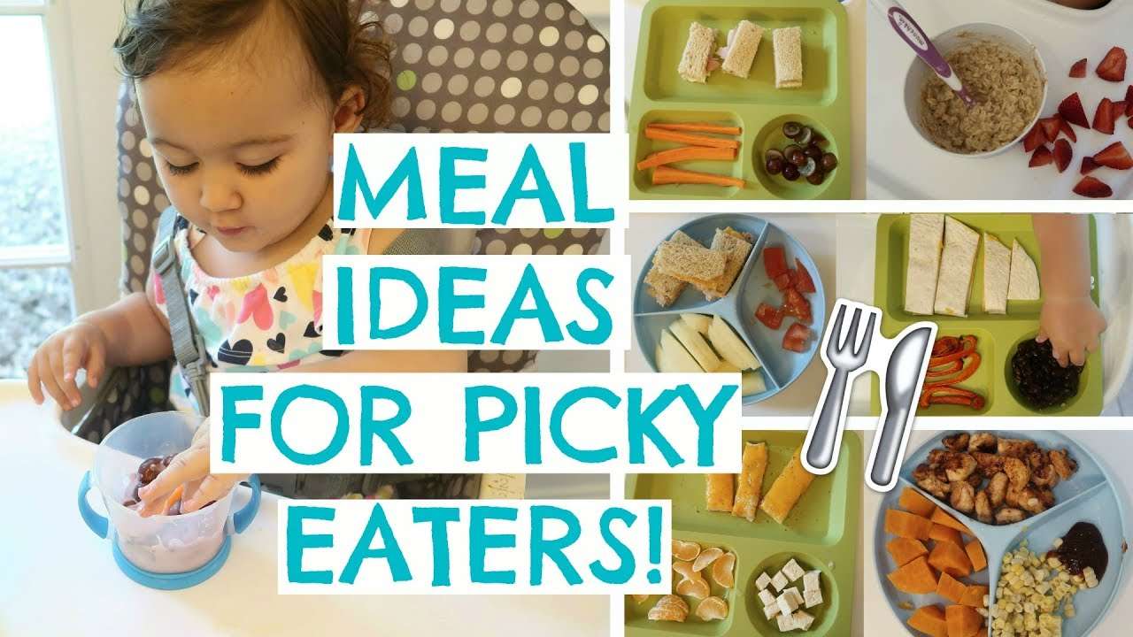 TODDLER MEALS FOR PICKY EATERS